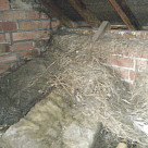 <p>I believe this is a sqirrels nest. it filled 6 black bags .  Can I go home now please..shower..  shower</p>
